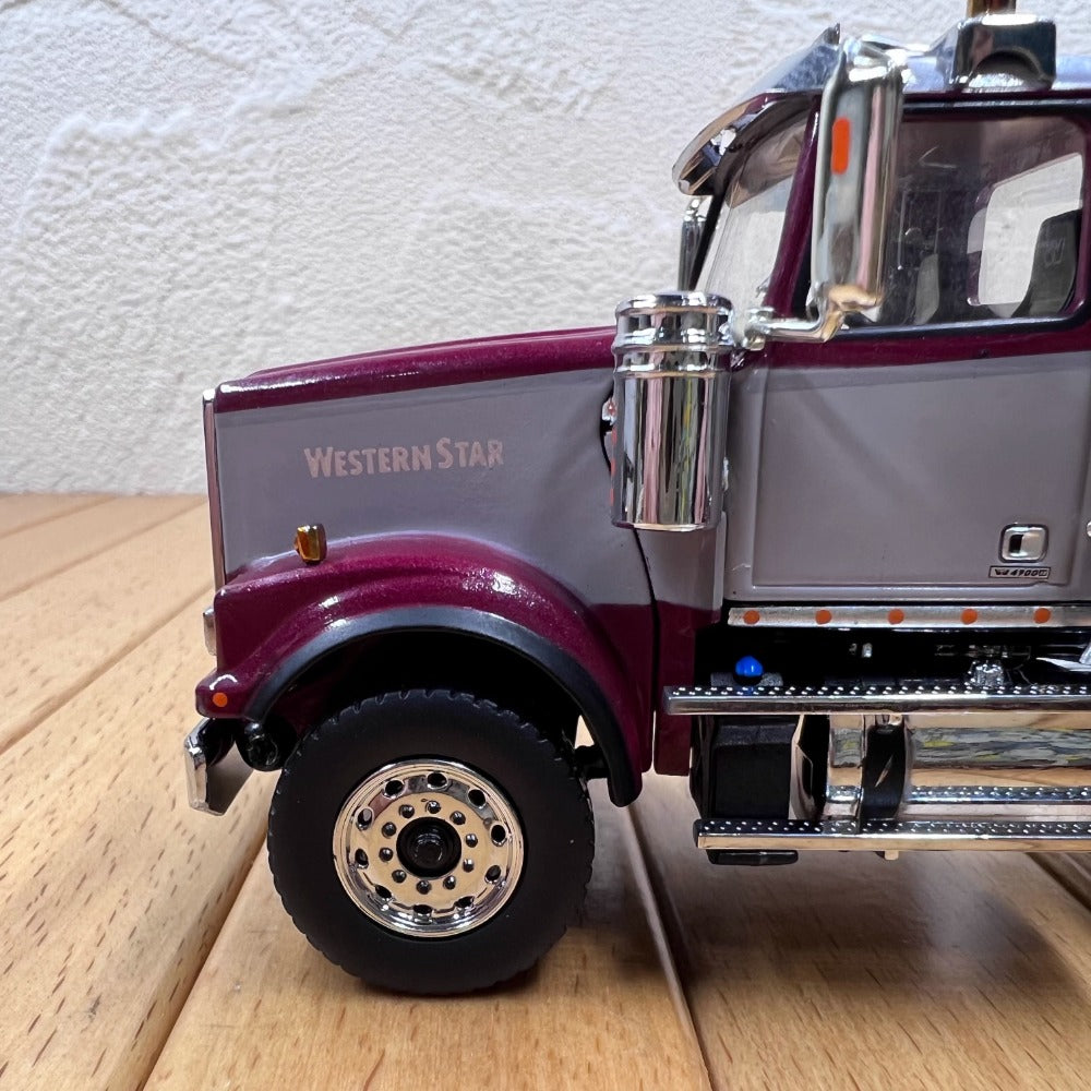 1/50 Scale Western Star 4900 SF Day Cab Tandem with Sea Container Truck Diecast Model